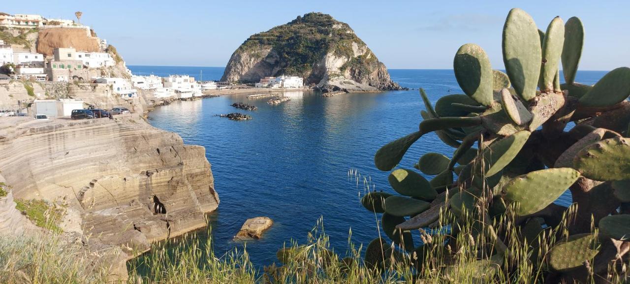 Villa Symphony Sea View Forio  Exterior photo