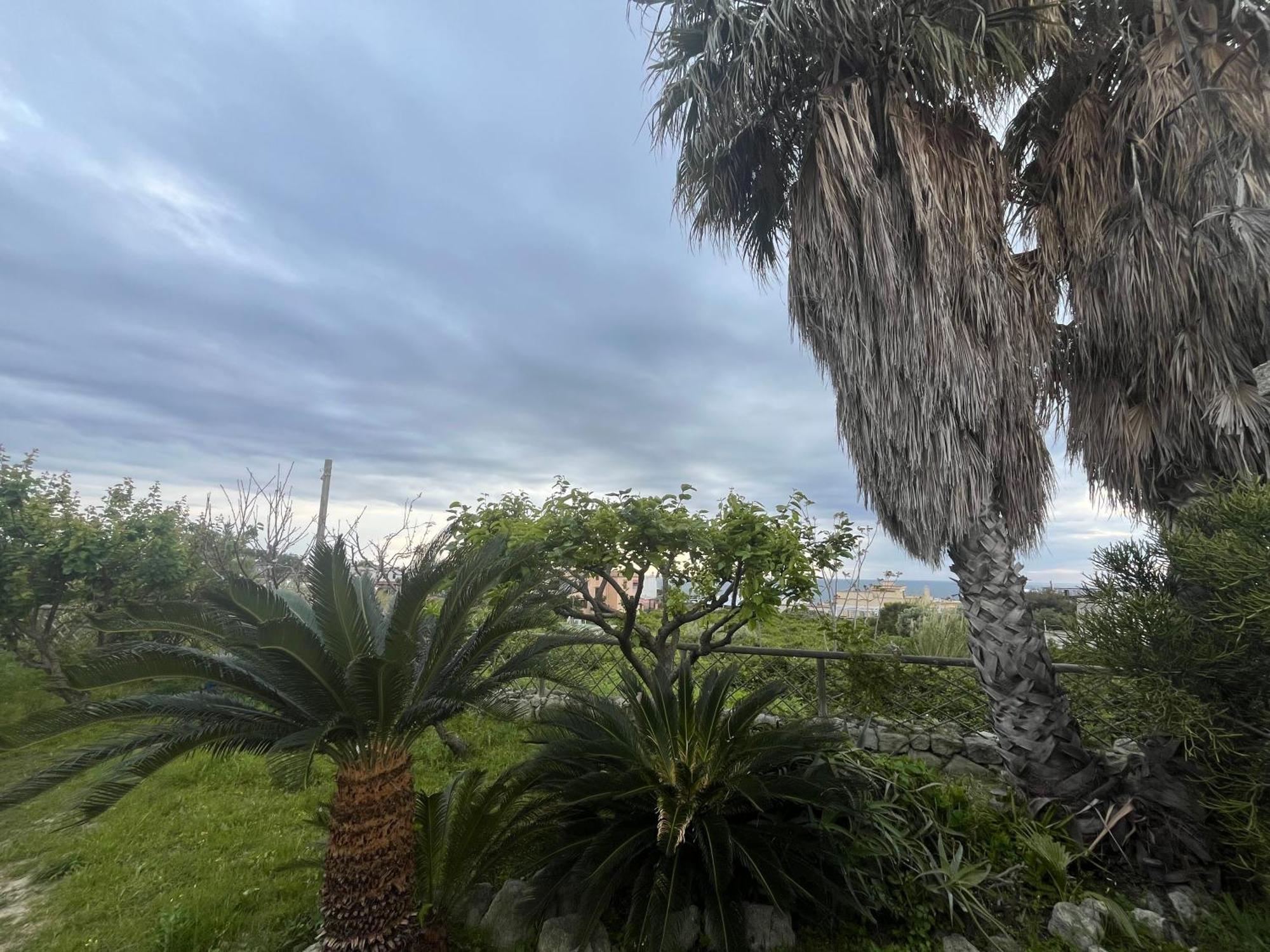 Villa Symphony Sea View Forio  Exterior photo