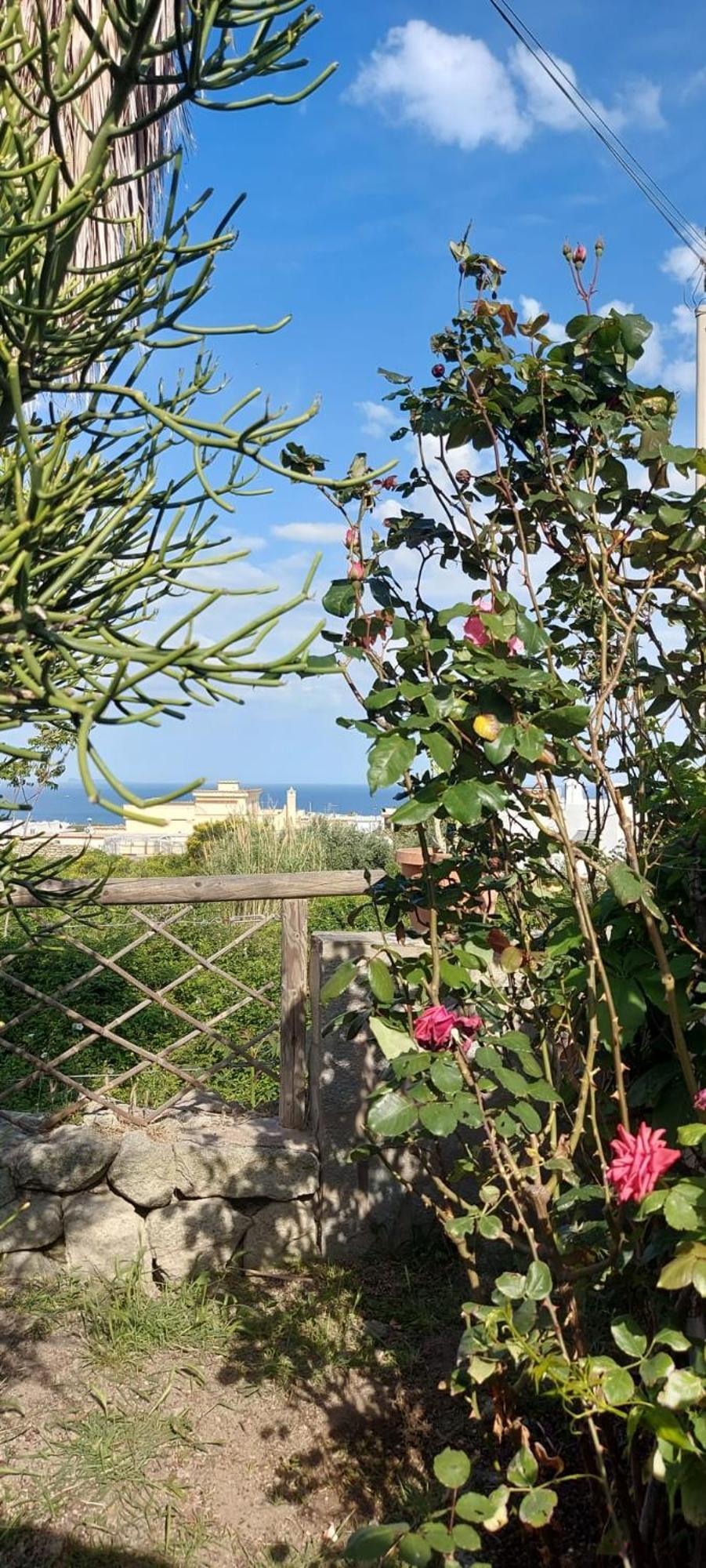 Villa Symphony Sea View Forio  Exterior photo